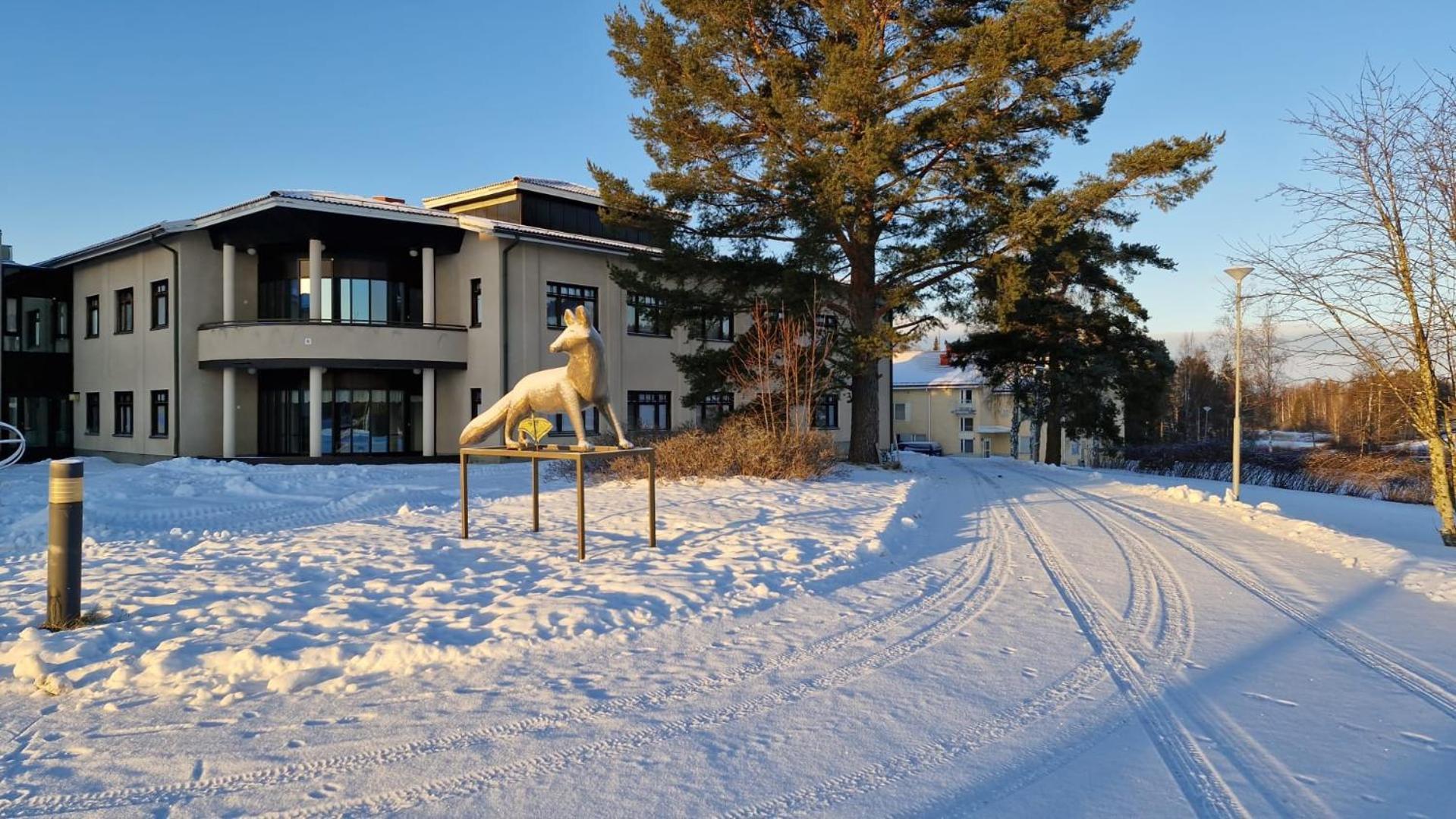 Majoitus Fox Hostel Kuopio Exterior photo